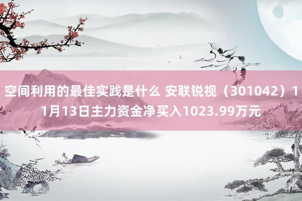 空间利用的最佳实践是什么 安联锐视（301042）11月13日主力资金净买入1023.99万元