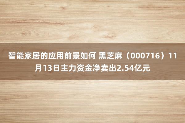 智能家居的应用前景如何 黑芝麻（000716）11月13日主力资金净卖出2.54亿元