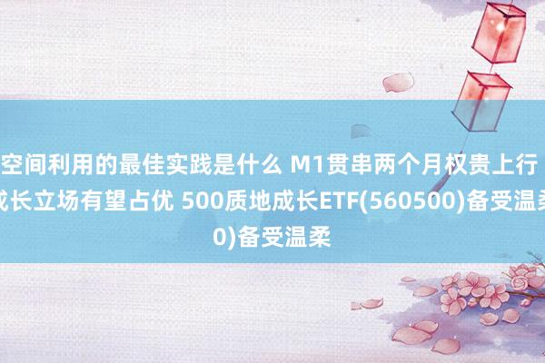 空间利用的最佳实践是什么 M1贯串两个月权贵上行 成长立场有望占优 500质地成长ETF(560500)备受温柔