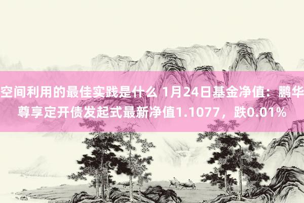 空间利用的最佳实践是什么 1月24日基金净值：鹏华尊享定开债发起式最新净值1.1077，跌0.01%